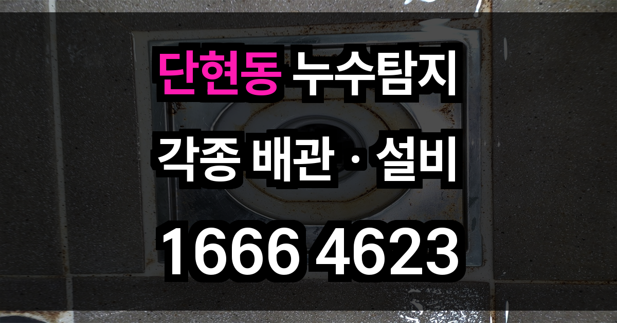 단현동 누수탐지