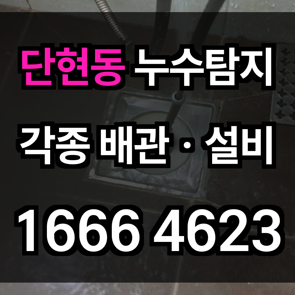 단현동 누수탐지