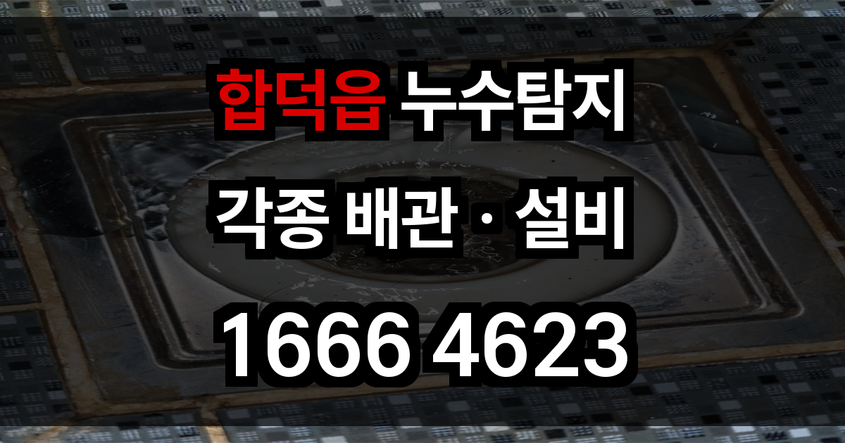 함덕읍 누수탐지