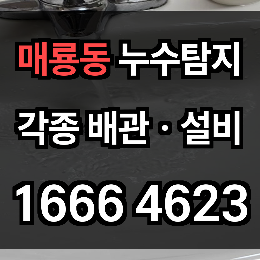 매룡동 누구탐지