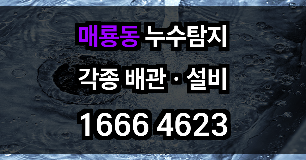 매룡동 누구탐지