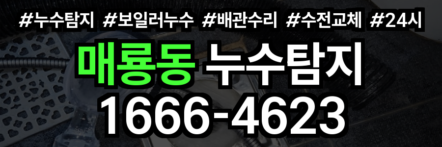 매룡동 누구탐지