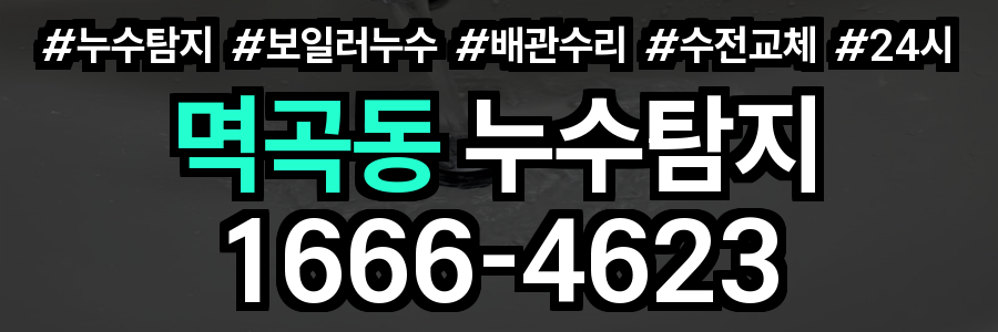 멱곡동 누수탐지