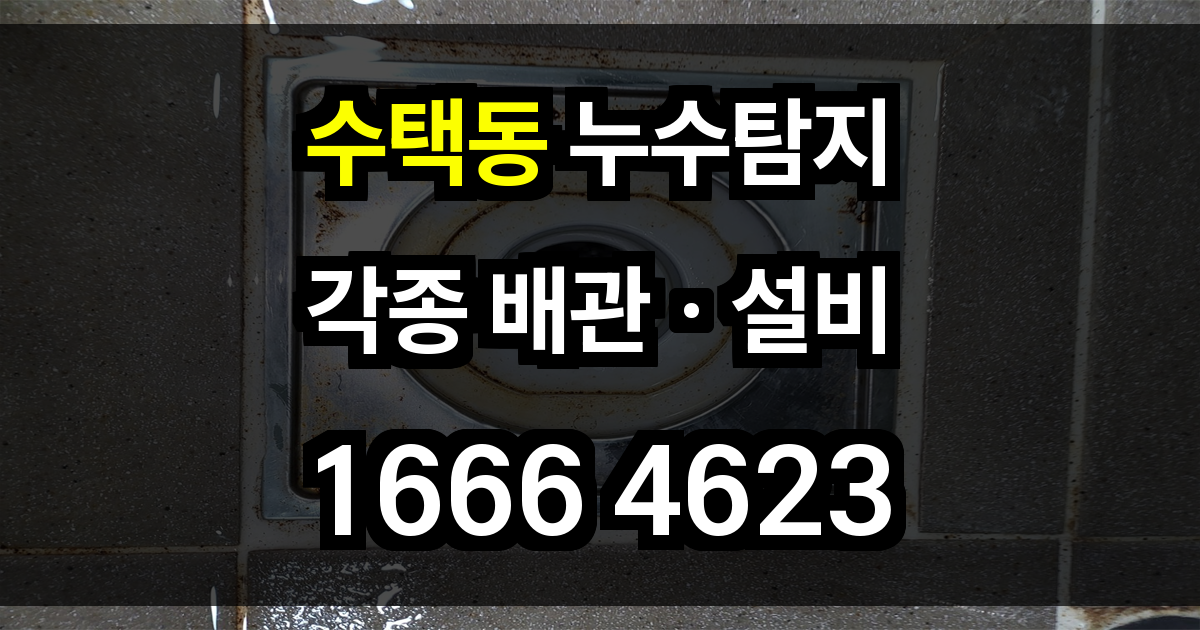 수택동 누수탐지
