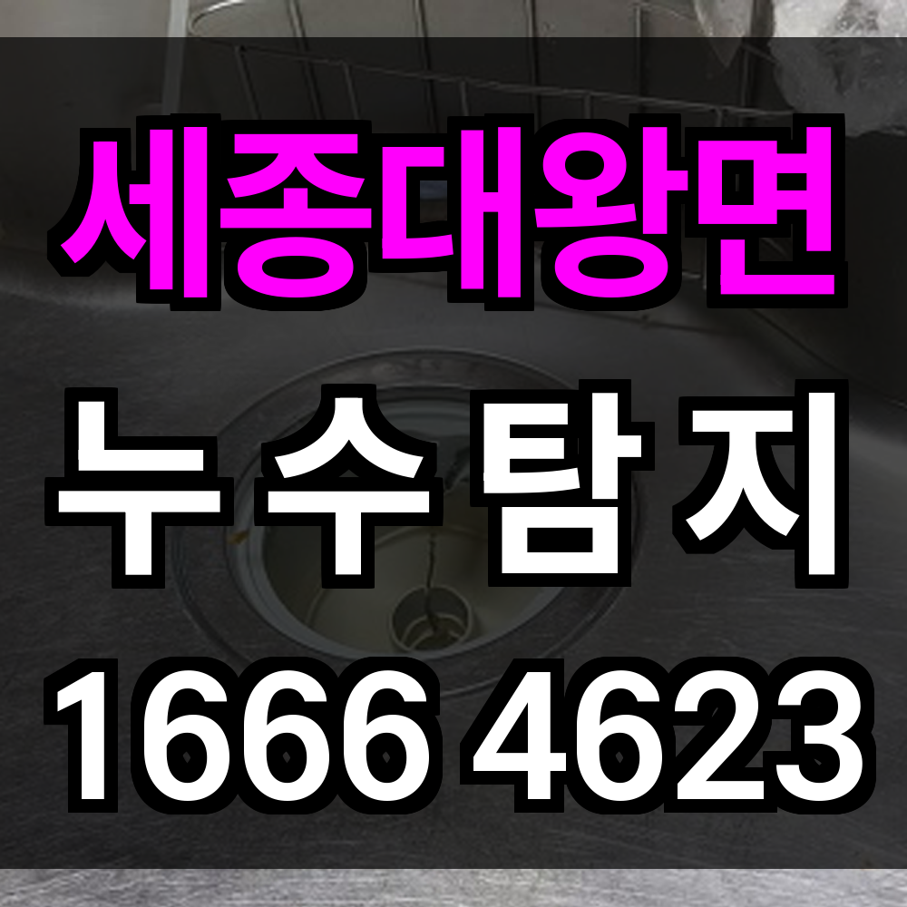 세종대왕면 누수탐지