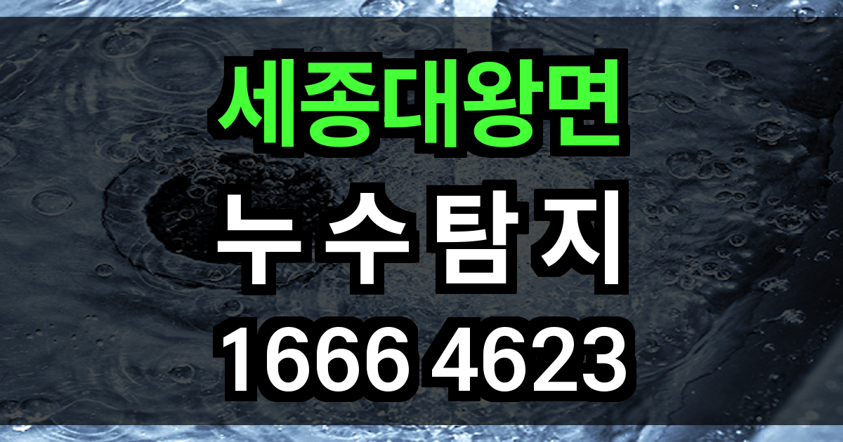 세종대왕면 누수탐지