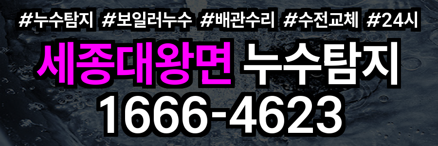 세종대왕면 누수탐지