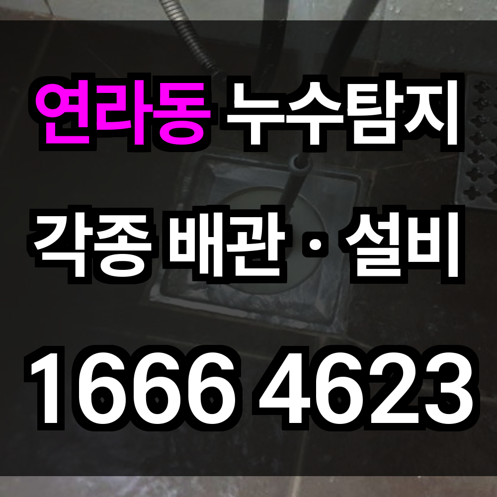 연라동 누수탐지