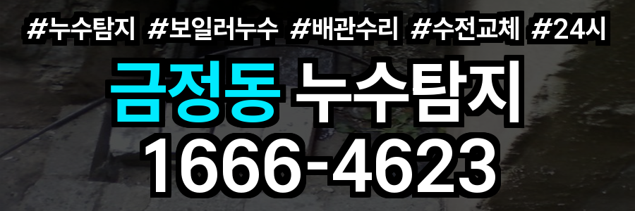 금정동 누수탐지