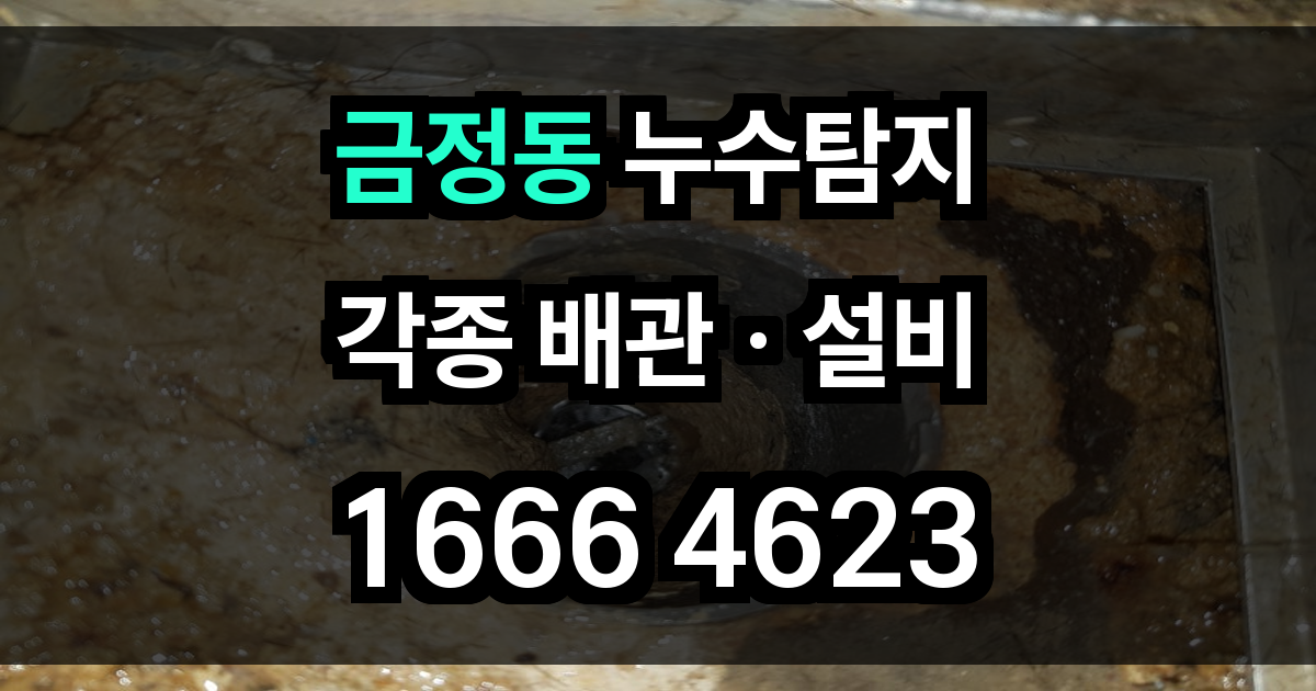 금정동 누수탐지
