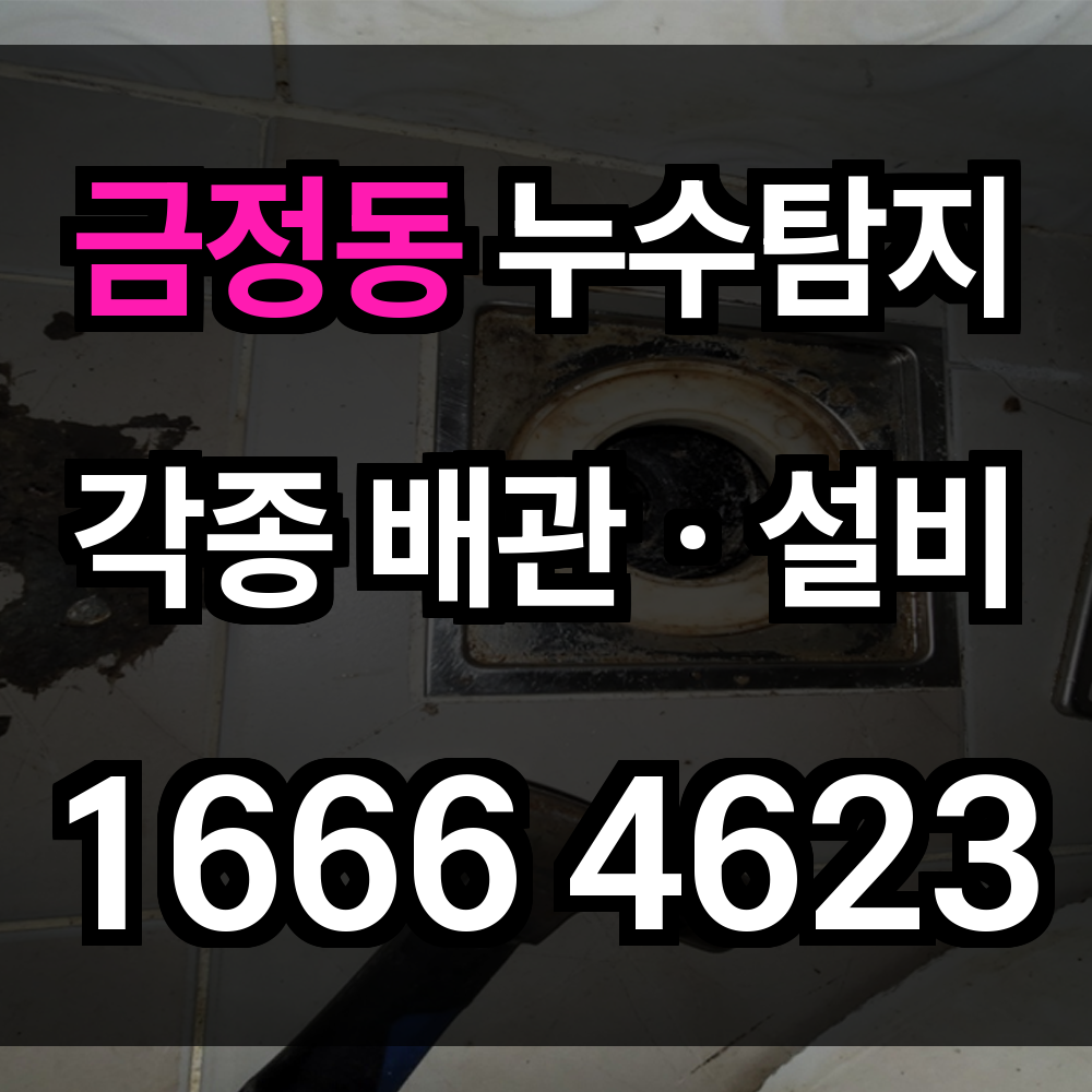 금정동 누수탐지