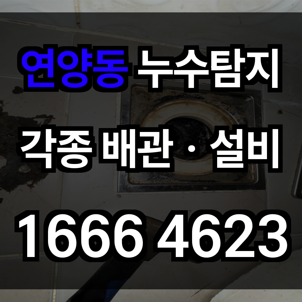 연양동 누수탐지