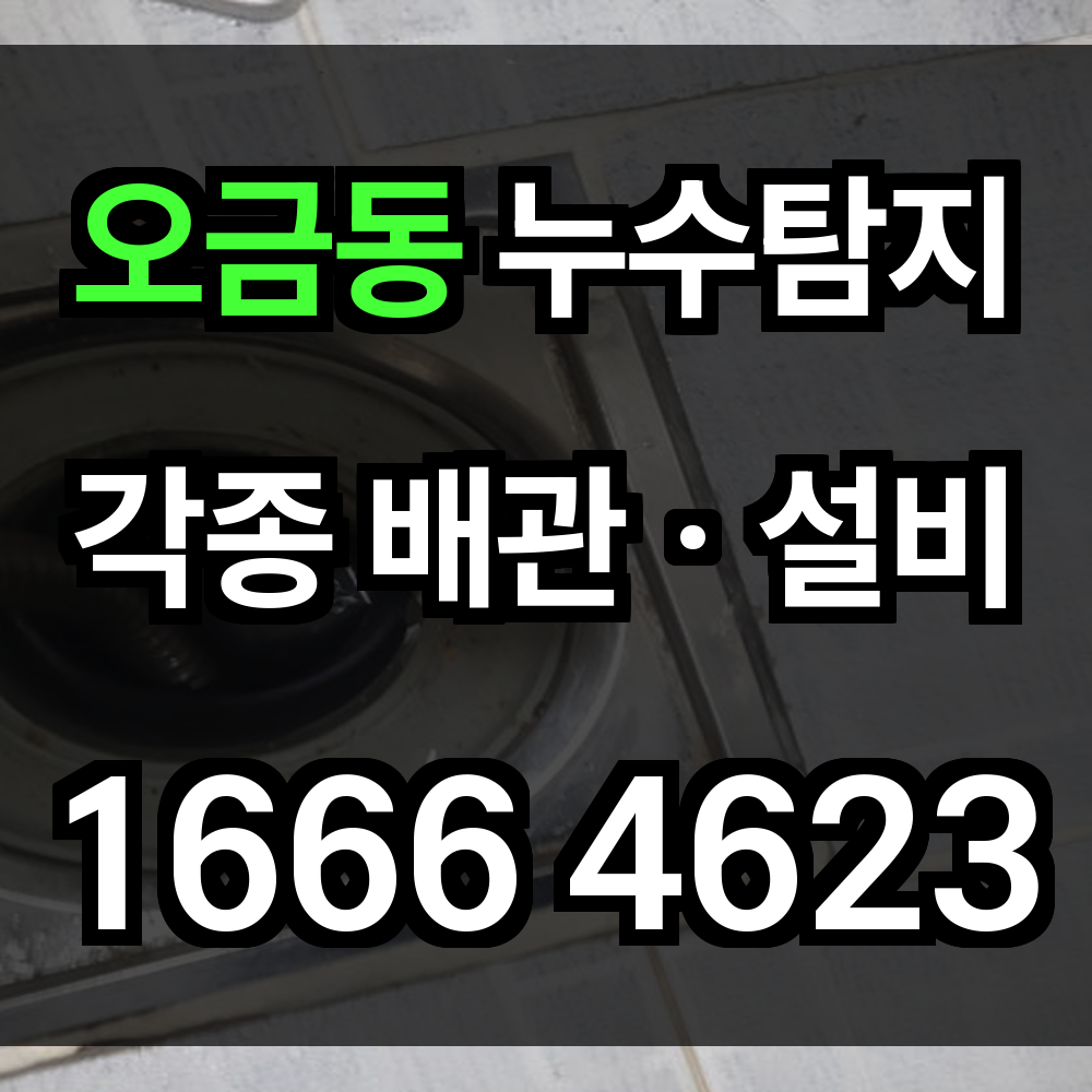 오금동 누수탐지