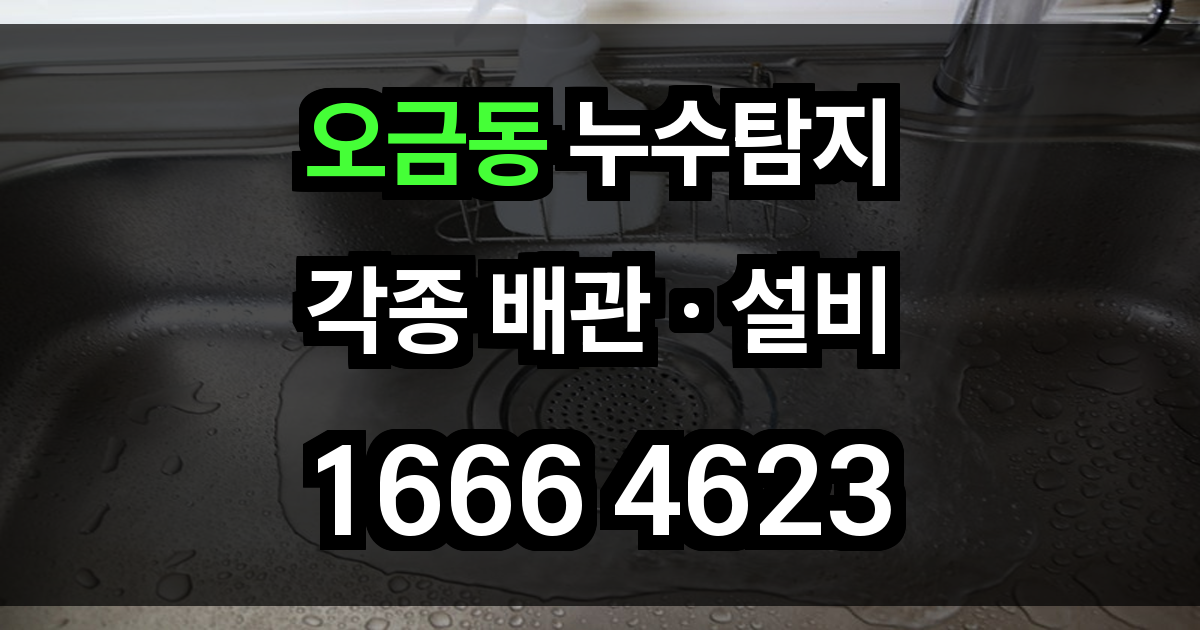 오금동 누수탐지