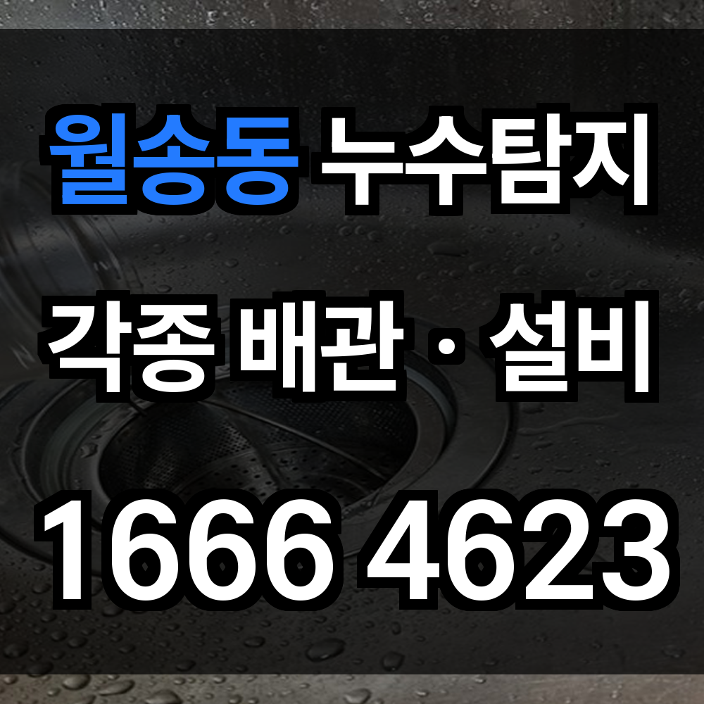 월송동 누수탐지