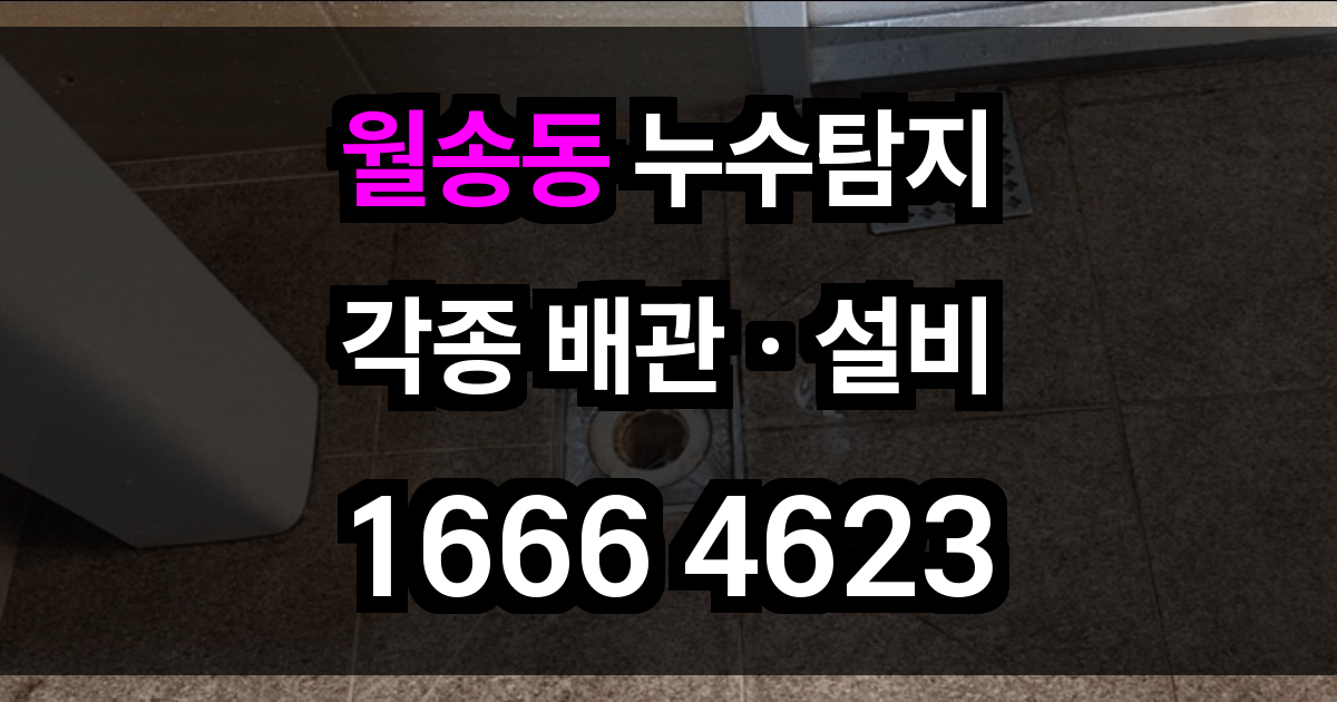 월송동 누수탐지