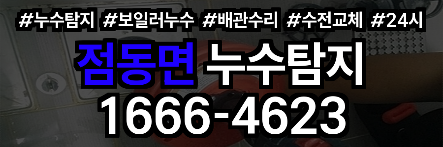 점동면 누수탐지
