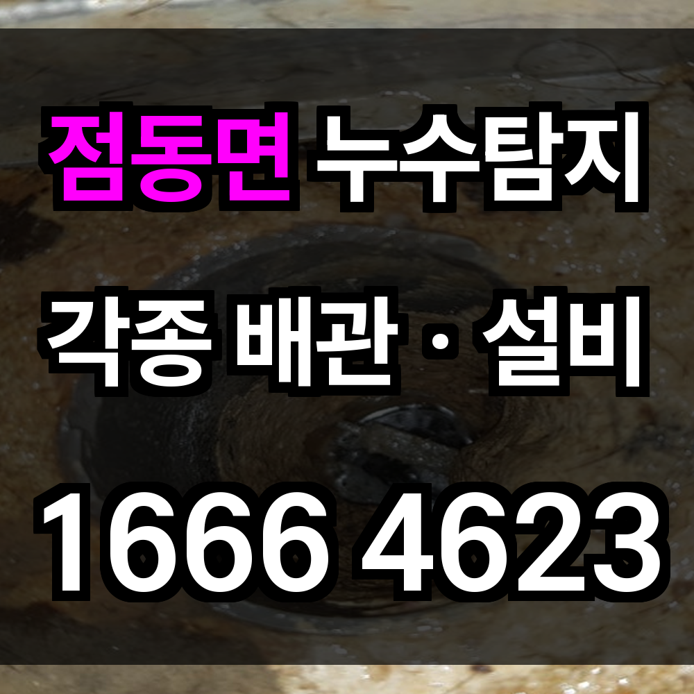 점동면 누수탐지