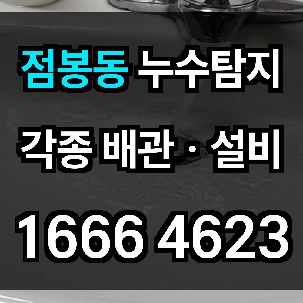 점봉동 누수탐지