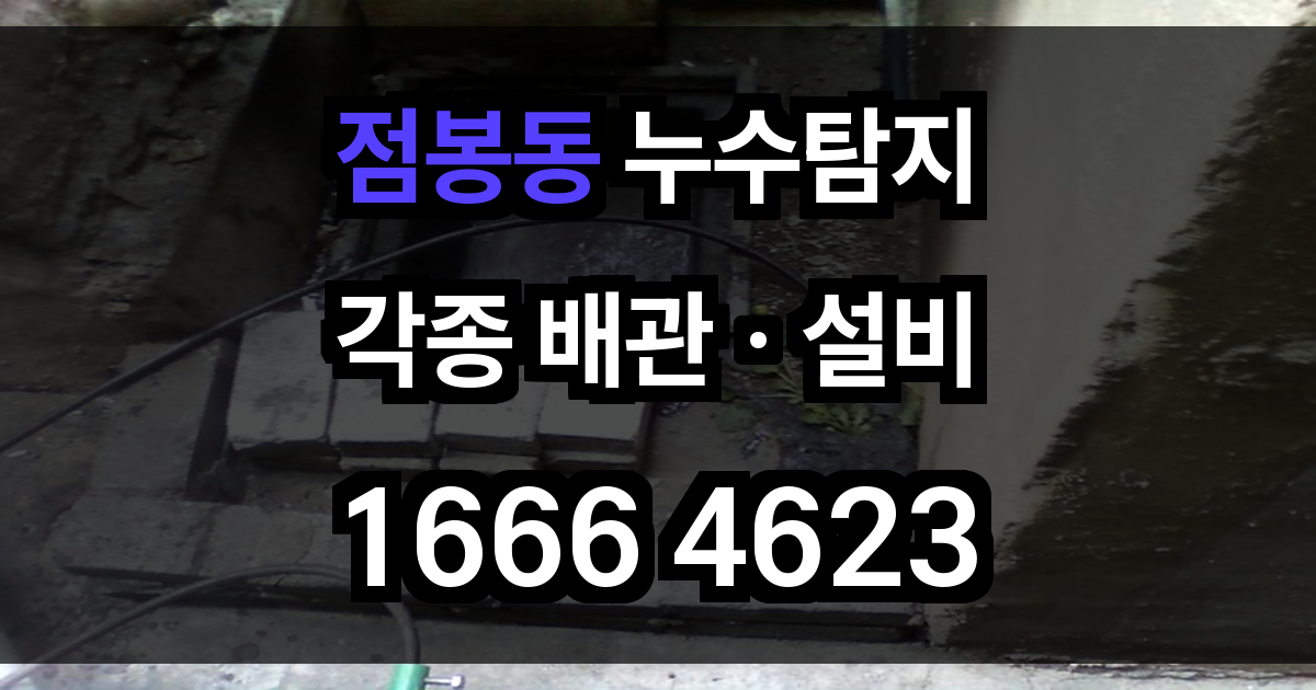 점봉동 누수탐지