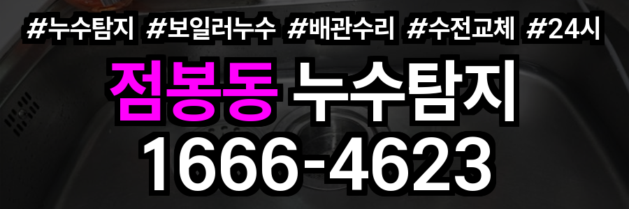 점봉동 누수탐지