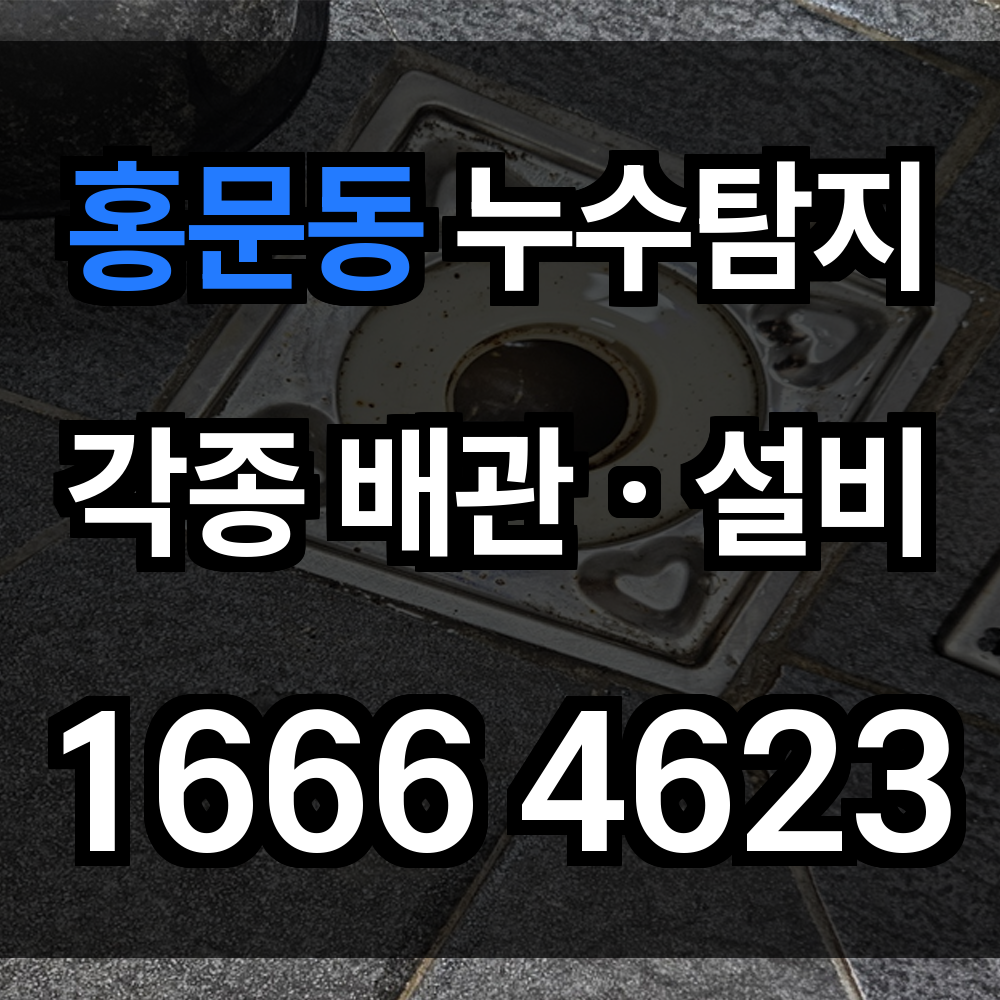 홍문동 누수탐지