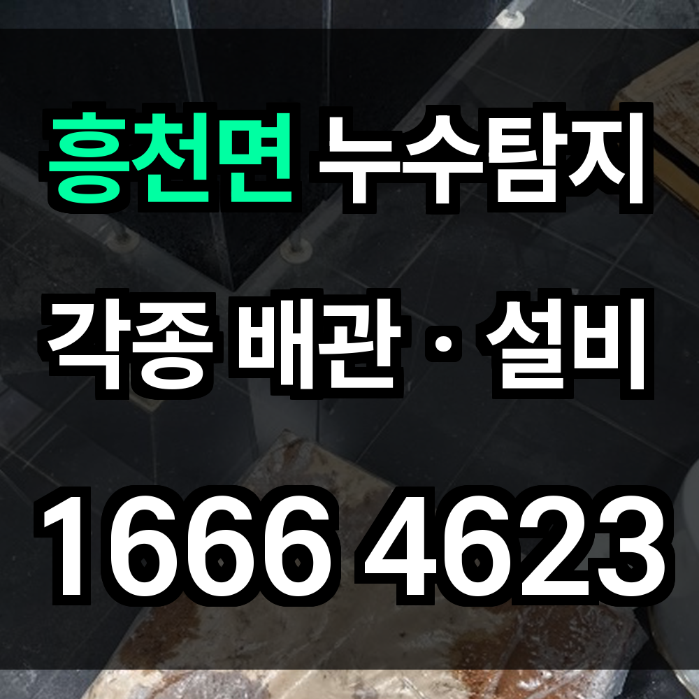흥천면 누수탐지