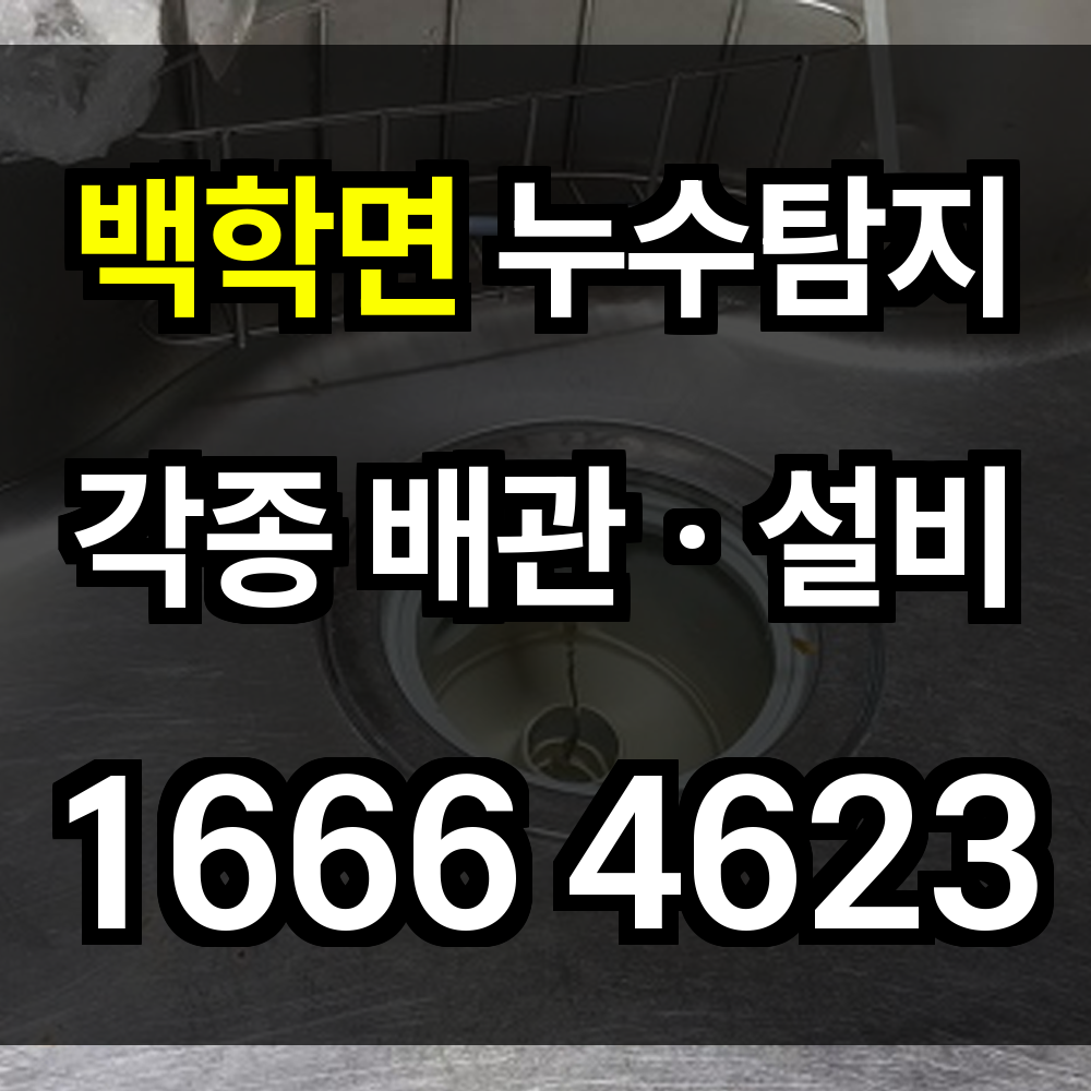 백학면 누수탐지