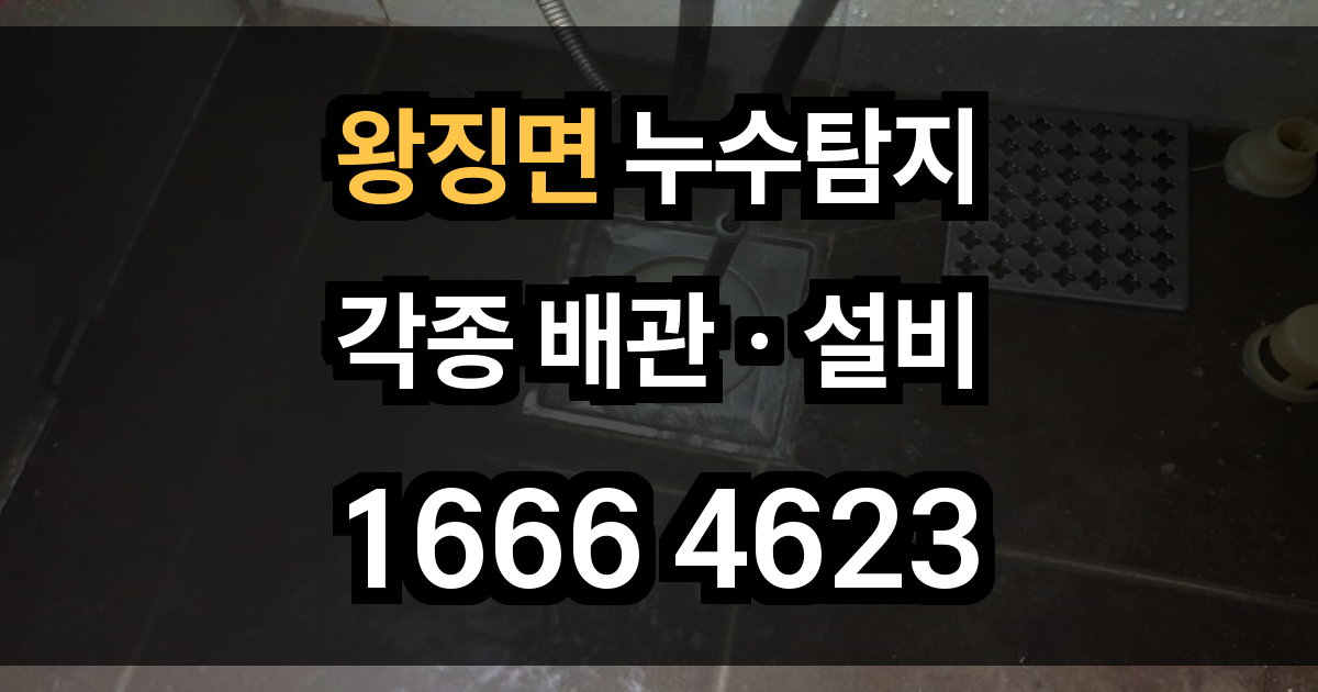 왕징면 누수탐지