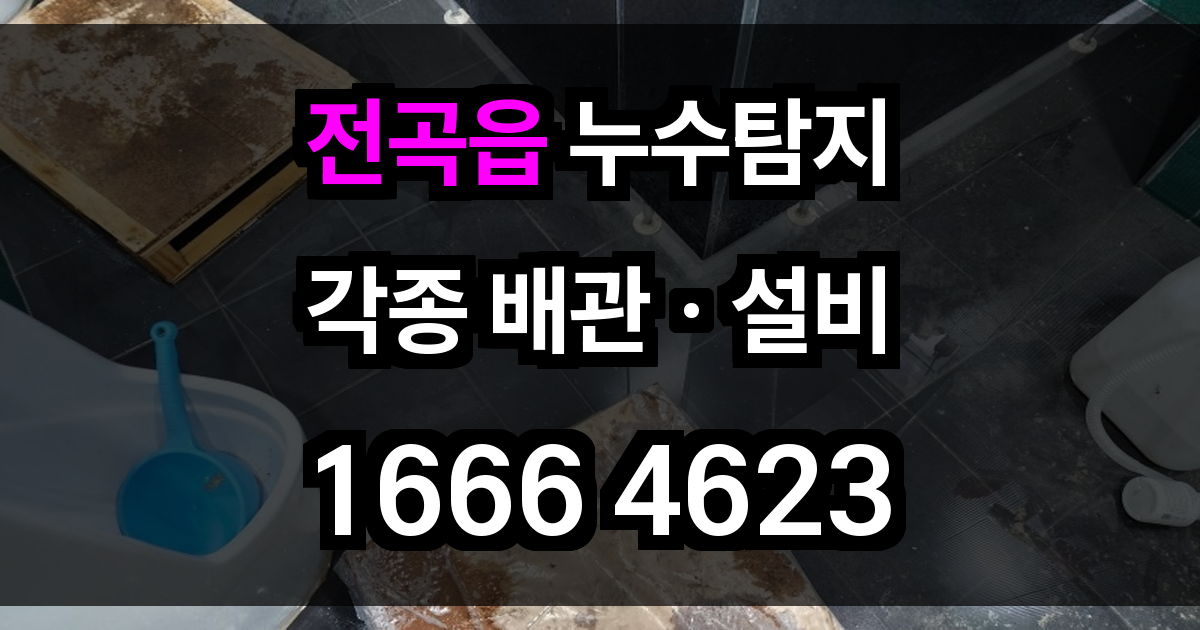 전곡읍 누수탐지