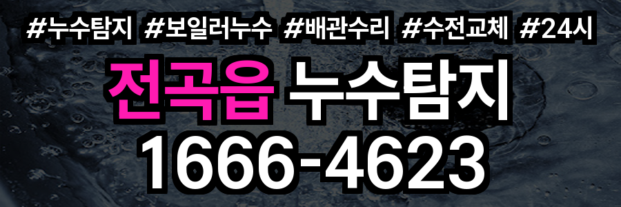 전곡읍 누수탐지