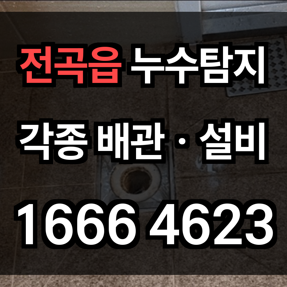 전곡읍 누수탐지