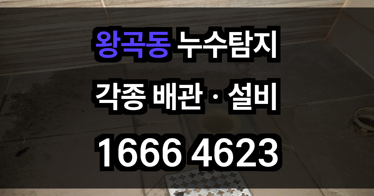 왕곡동 누수탐지