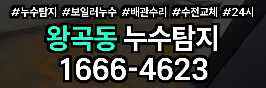 왕곡동 누수탐지