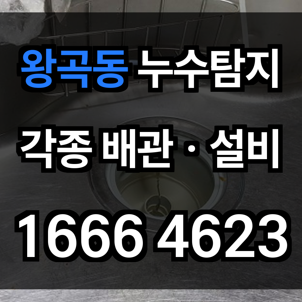 왕곡동 누수탐지