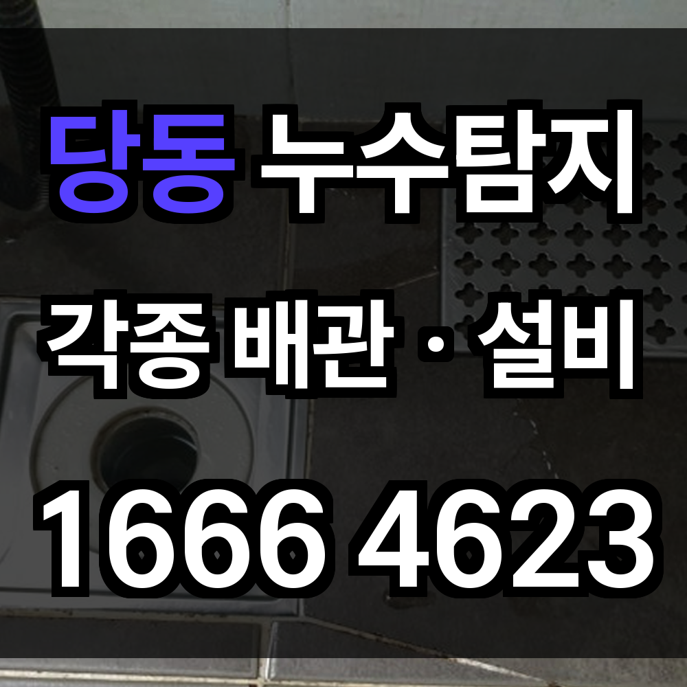 당동 누수탐지