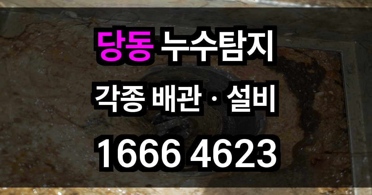 당동 누수탐지