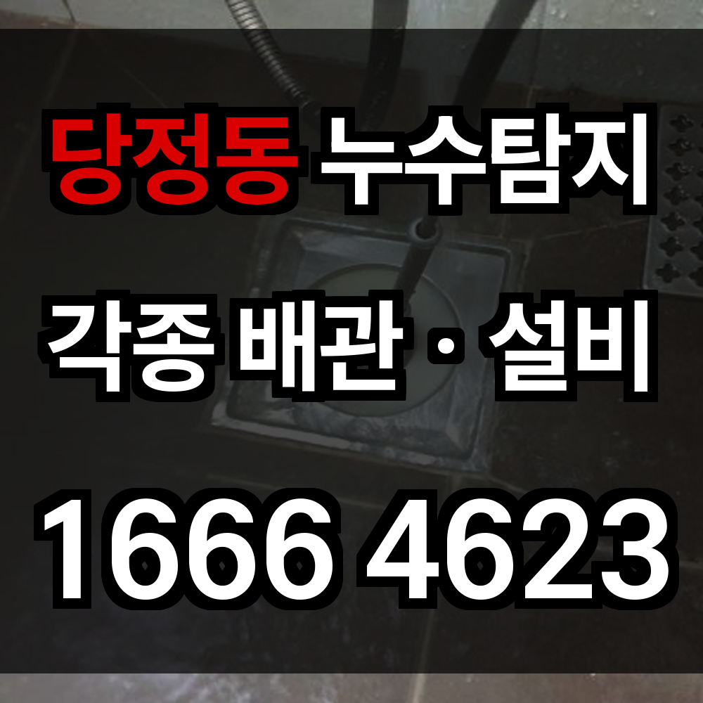 당정동 누수탐지