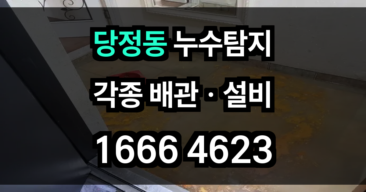 당정동 누수탐지