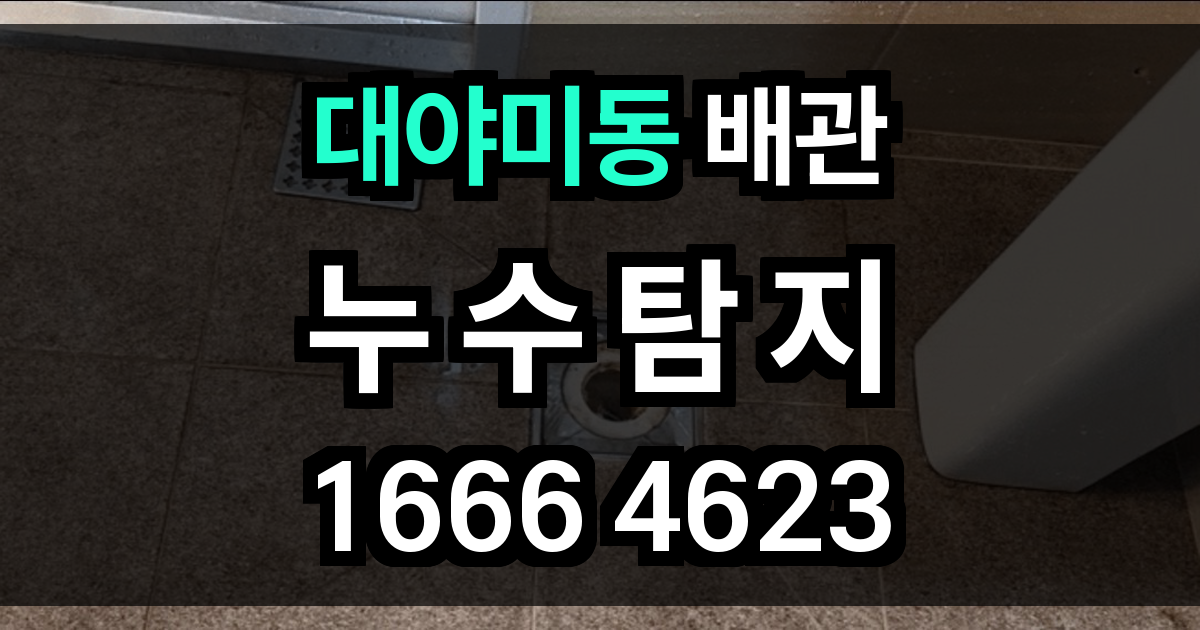 대야미동 누수탐지