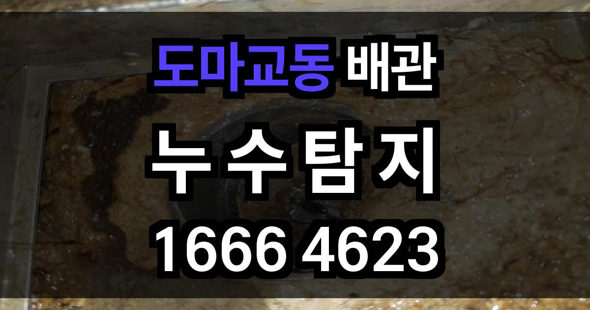 도마교동 누수탐지