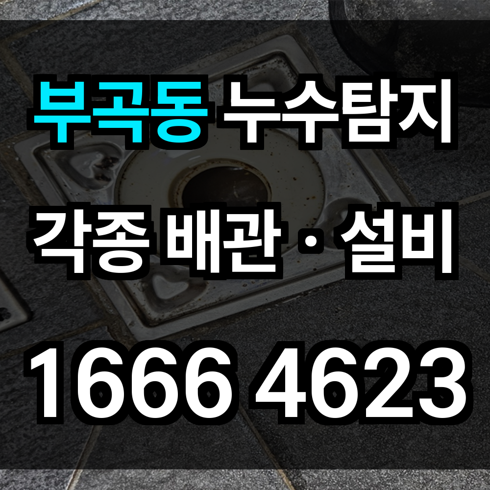 부곡동 누수탐지