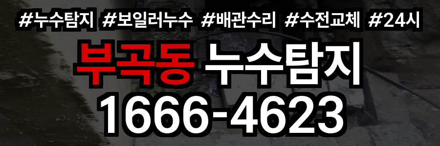 부곡동 누수탐지