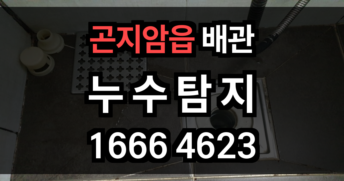 곤지암읍 누수탐지