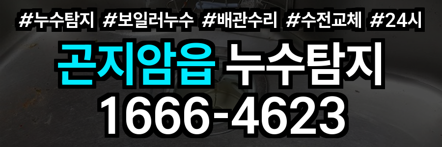 곤지암읍 누수탐지