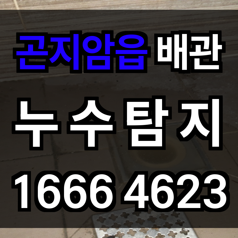 곤지암읍 누수탐지