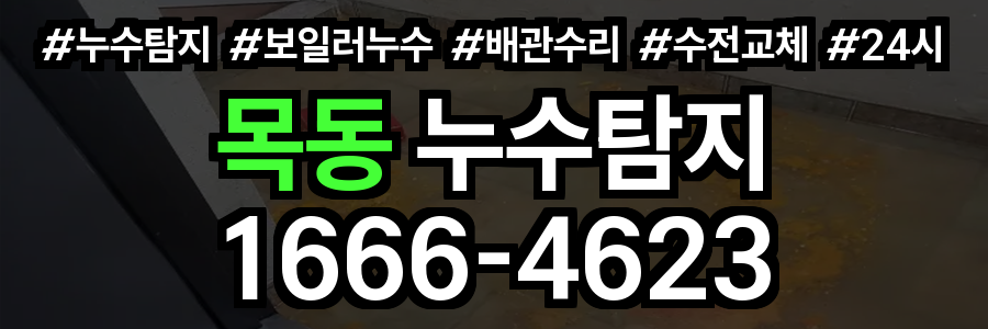 목동 누수탐지