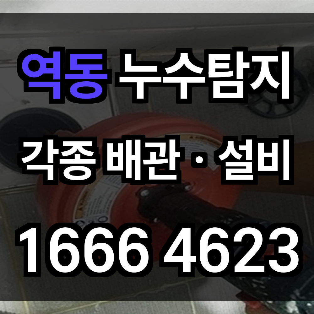 역동 누수탐지
