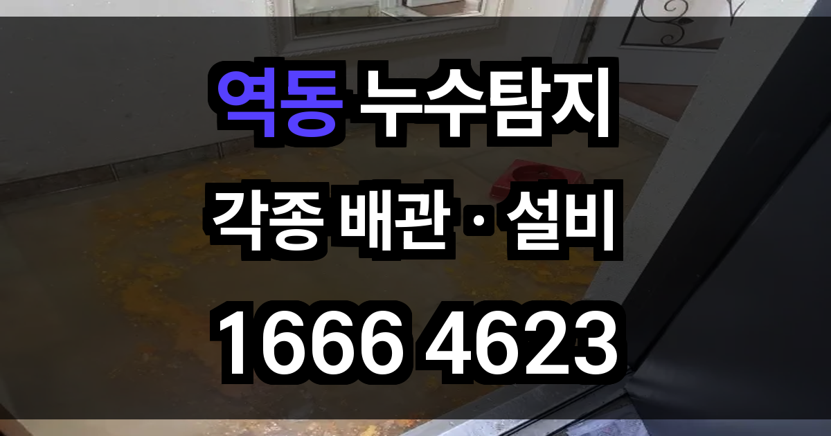 역동 누수탐지