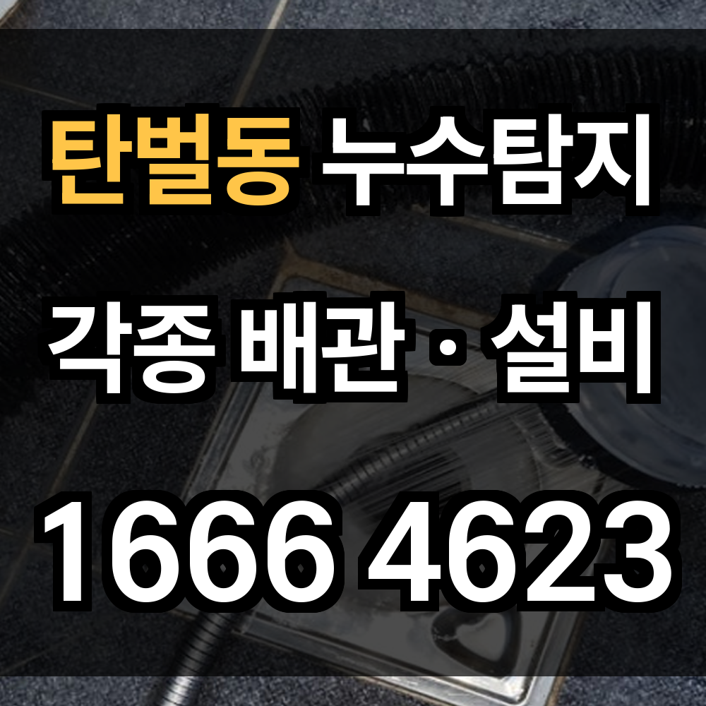 탄벌동 누수탐지